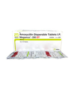 Megamox 250 DT Tablet