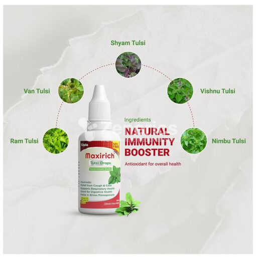 Maxirich Tulsi Drop - Image 4