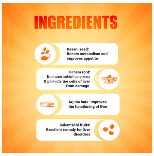 Maxirich Livercare Syrup - Image 4