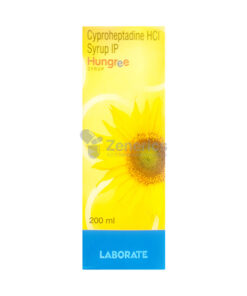 Hungree Syrup Sunflower